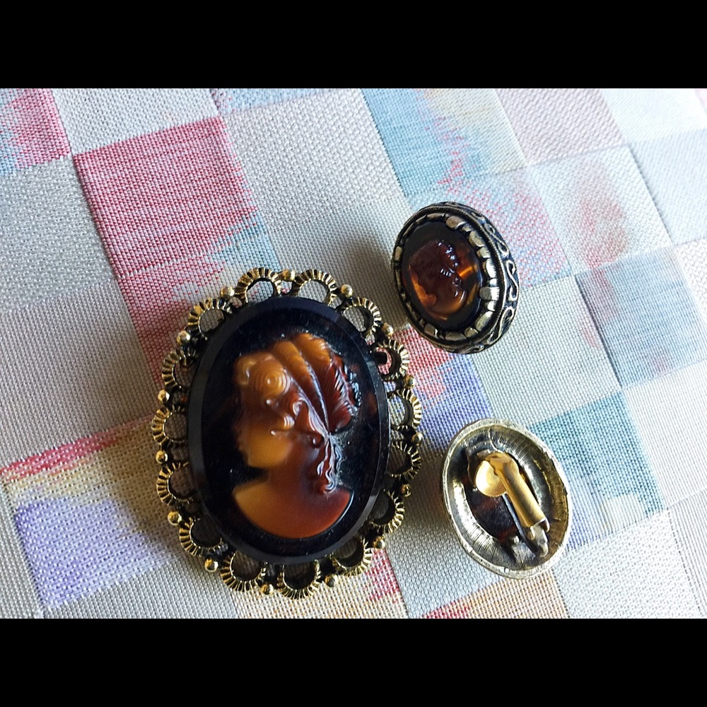 Beautiful broach and clip on earnings..